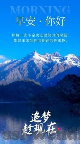 安卓世界杯投注app-安卓世界杯投注app，便捷体验与风险并存